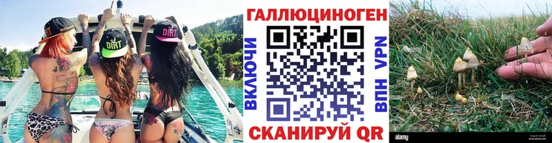 Псилоцибиновые грибы Cubensis  ссылка на мегу ссылки  Кропоткин 